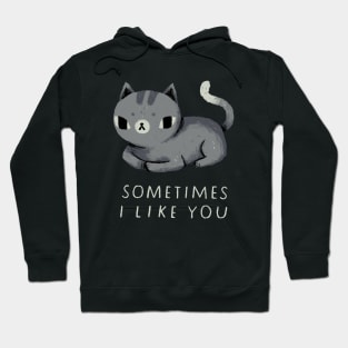 sometimes i like you Hoodie